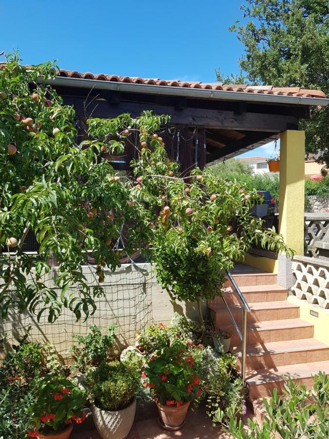Apartmani Grguric Kornic Ngoại thất bức ảnh