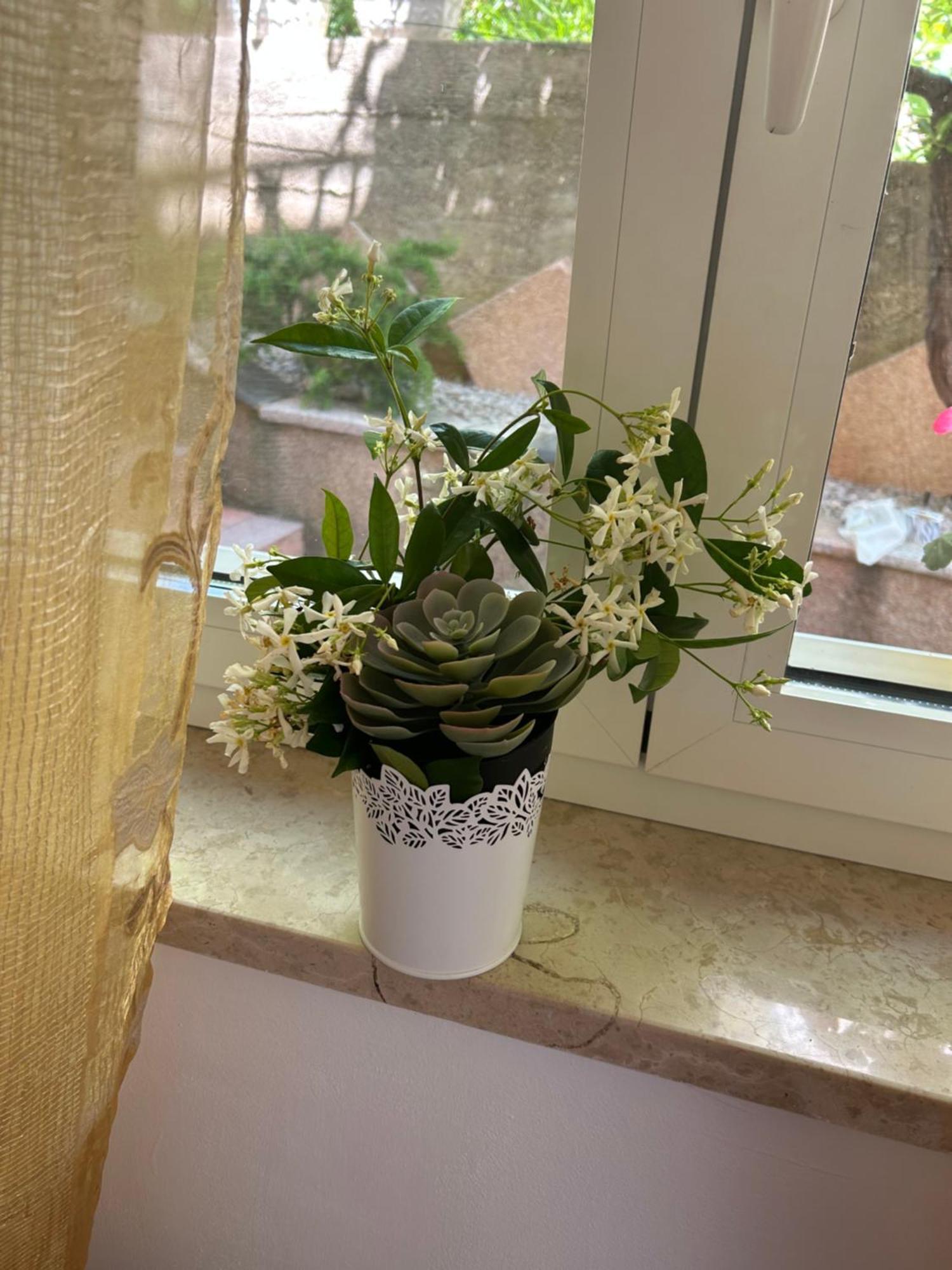 Apartmani Grguric Kornic Ngoại thất bức ảnh
